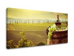 Slikanje sten VINICE_083-11