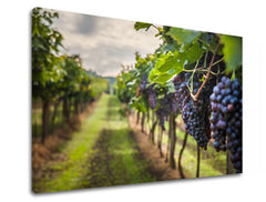 Slikanje sten HROZNO_091-11