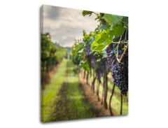 Slikanje sten HROZNO_091-12