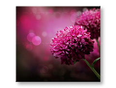 Stenska slika PINK ROŽE_149-11