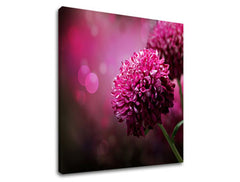 Stenska slika PINK FLOWERS_149-11