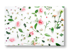Slikanje sten ROSE_155-11