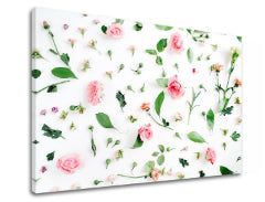 Slikanje sten ROSE_155-11