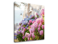 Stenska slika PINK FLOWERS_157-12
