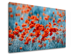 Stenska slika RED FLOWERS_159-11
