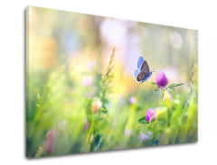 Stenska slika COLORFUL FLOWERS_161-11