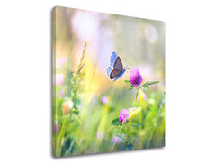 Stensko slikarstvo COLORFUL FLOWERS_161-12