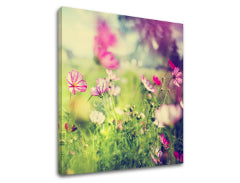 Stenska slika PINK FLOWERS_165-12