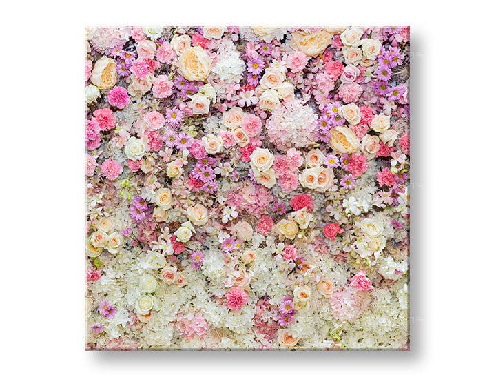 Slikanje sten ROSES_167-12