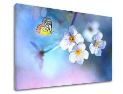 Slikanje sten STROMY_035-11