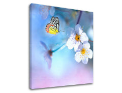 Slikanje sten STROMY_035-12