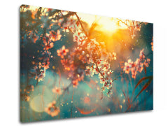 Slikanje sten STROMY_037-11