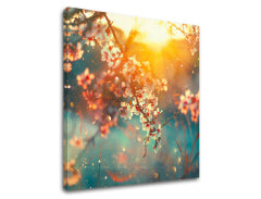 Slikanje sten STROMY_037-12