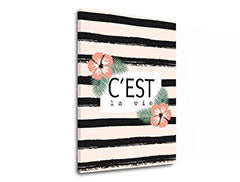 Stenska umetnost z besedilom C est la vie