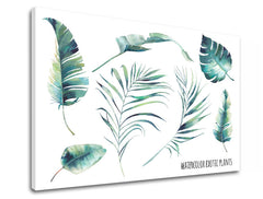 obraz-na-stenu-s-textom-watercolor-exotic-plants-rozne-rozmery-XOBTEX047E1.jpg