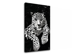 obraz-na-platne-gepard-001-rozne-rozmery-XOBYRCH006E1.jpg