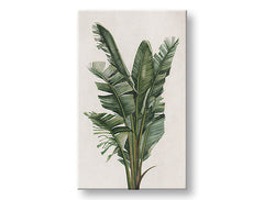 Slika na platnu PLANTS 007