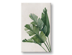 Slika na platnu PLANTS 008