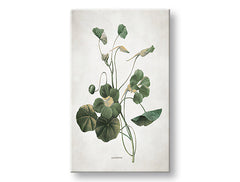 Slika na platnu PLANTS 011