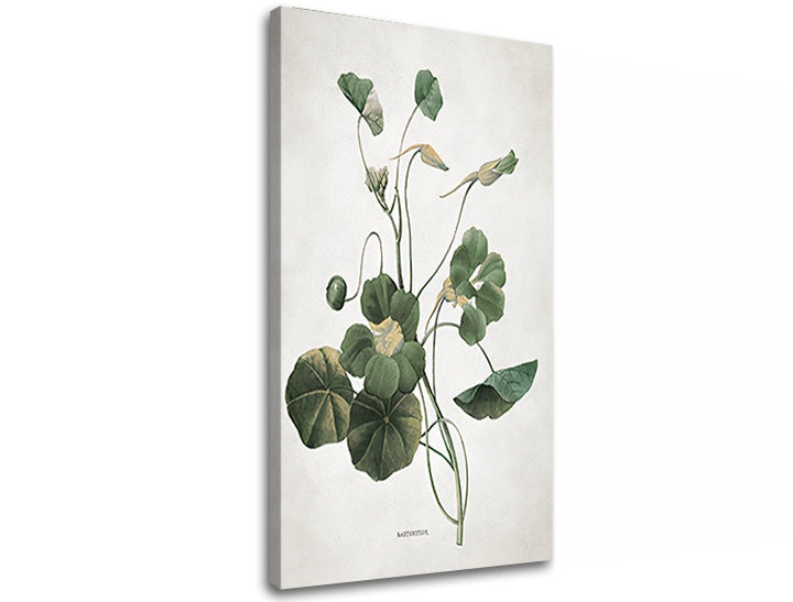 Slika na platnu PLANTS 011 - slika 2