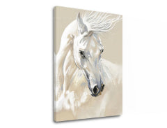 Slika na platnu MAJESTY WHITE Pigeon