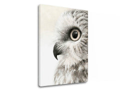 Slikarstvo na platnu Pogled sove