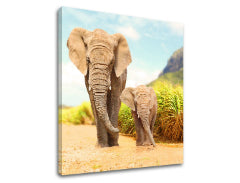 Slikanje sten ANIMALS_049-12