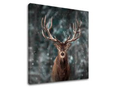 Slikanje sten ANIMALS_052-12