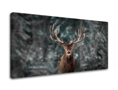 Slikanje sten ANIMALS_052-11