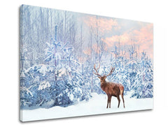 Slikanje sten ANIMALS_053-11