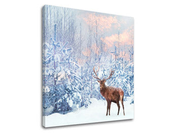 Slikanje sten ANIMALS_053-12