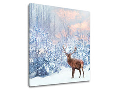 Slikanje sten ANIMALS_053-12