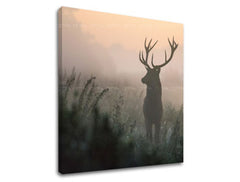 Slikanje sten ANIMALS_054-12