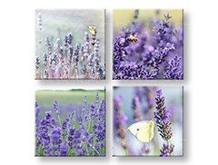 Slikanje sten COLLAGE 4 deli XOBKOL06E42