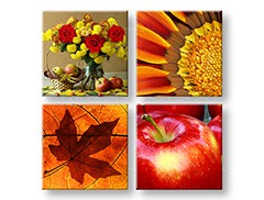 Slikanje sten COLLAGE 4 deli XOBKOL07E42