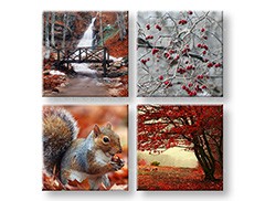 Slikanje sten COLLAGE 4 deli XOBKOL11E42