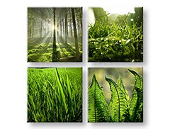 Slikanje sten COLLAGE 4 deli XOBKOL14E42