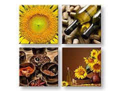 Slikanje sten COLLAGE 4 deli XOBKOL15E42