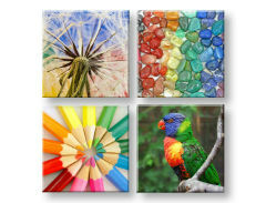 Stenska umetnost Barvite vibracije 4 deli XOBKOL20E42