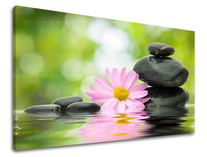 Stensko slikarstvo FENG SHUI FS009E11