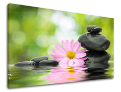 Stensko slikarstvo FENG SHUI FS009E11