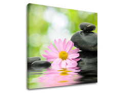 Stensko slikarstvo FENG SHUI FS009E12