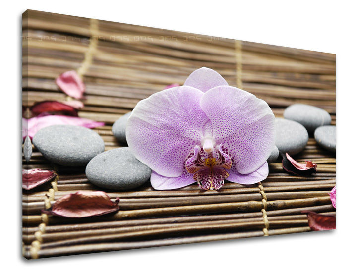 Stenska umetnost FENG SHUI FS010E11