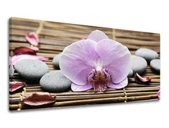 Stenska slika PANORAMA FENG SHUI FS010E13