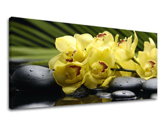 Stensko slikarstvo PANORAMA FENG SHUI FS012E13