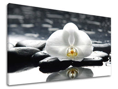 Stenska umetnost FENG SHUI FS018E11