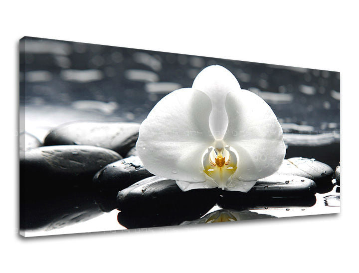 Stenska slika PANORAMA FENG SHUI FS018E13