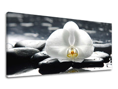 Stenska slika PANORAMA FENG SHUI FS018E13