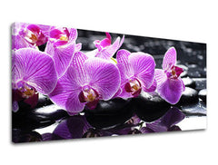 Stensko slikarstvo PANORAMA FENG SHUI FS024E13