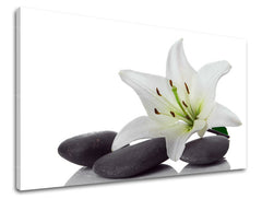 Stenska umetnost FENG SHUI FS029E11